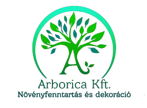 Arborica Kft. - Irodai növénygondozás, dísznövény telepítés, karbantartás és tervezés